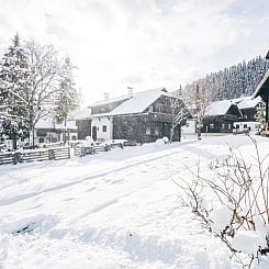 Vakantiehuis in Bad Kleinkirchheim