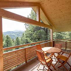 Vakantiehuis #28 mit Sauna und Sprudelbad innen