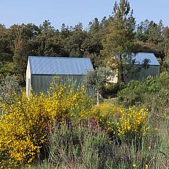 Vakantiehuis in Salgueiro do Campo