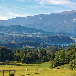 Vakantiehuis in Bohinjska Bela