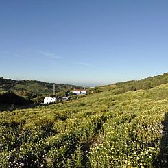 Vakantiehuisje in Tarifa