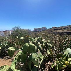 Kavel in Tenerife, Spanje