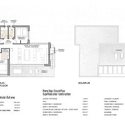 Vrijstaande woning in Spanje