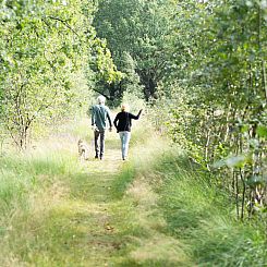 Mooi 12 persoons vakantiehuis midden in het bos in Drenthe