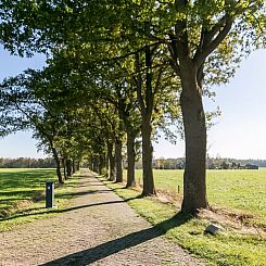 Vakantiehuisje in Drijber