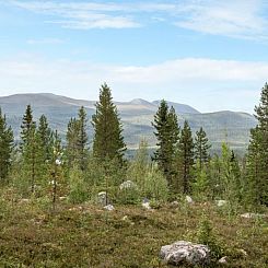 Vakantiehuis Lofsdalen Lavskrikan