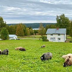 Vakantiehuis in Strömsund