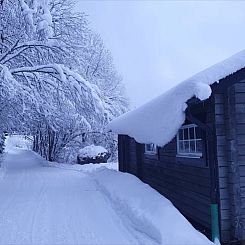 Vakantiehuisje in Höljes