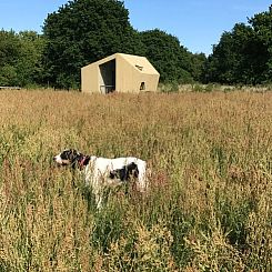 Vakantiehuisje in Mantinge