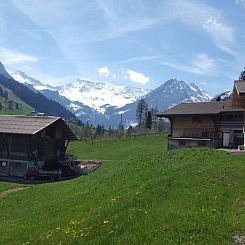 Appartement Chalet Wäschhüsi