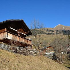 Appartement Marmotte, Chalet