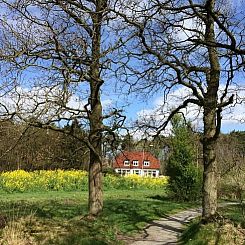 Vakantiehuis in Roden