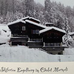 Appartement Chalet Murmeli