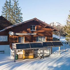 Appartement Chalet Chapfwald