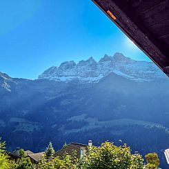 Appartement Chalet Anthamatten