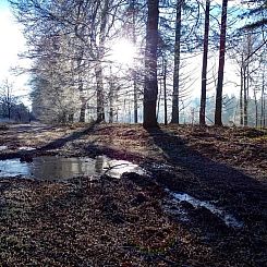 Superleuk 4 persoons vakantiehuis in Exloo met buitenzwembad