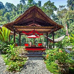 EcoTravel Cottages Bukit Lawang