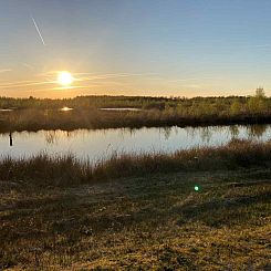 Uniek 4 persoons vakantiehuis tussen de bomen met weids