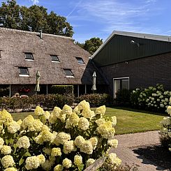 22 persoons groepsaccommodatie in Havelte