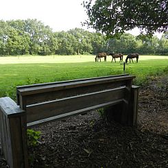 huisje in ruinen