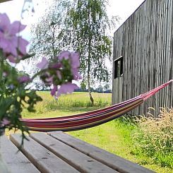 Vakantiehuisje in Vledder