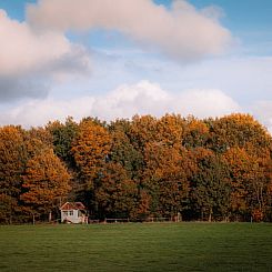 Huisje in Frederiksoord