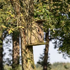 Comfortabel boerderij in Drenthe voor 6 personen