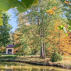 Vakantiehuis Cosy tiny house