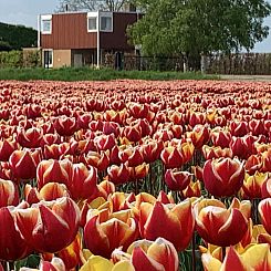 Landelijk gelegen 6 persoons vakantiehuis met bubbelbad en