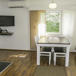 Vakantiehuis Villa paasirinne b