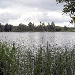 Vakantiehuis Petäjäniemi