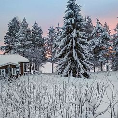 Vakantiehuis Lystikämän tupa