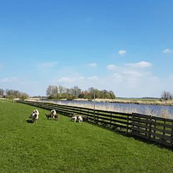 Vakantiehuisje in Jelsum