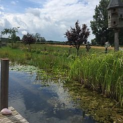 Vakantiehuisje in Toldijk