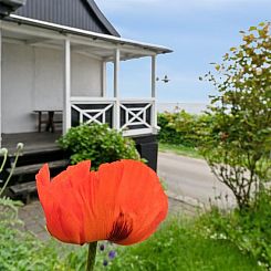 Vakantiehuis "Scarlet" - 5m from the sea