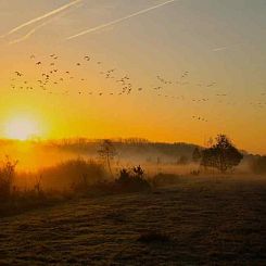 Prachtig 4 persoons vakantiehuis nabij Winterswijk en de