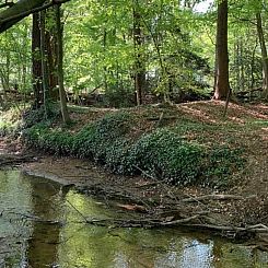 Gelijkvloerse 4 persoons bungalow met grote tuin in