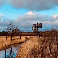 Gelijkvloerse 4 persoons bungalow met grote tuin in