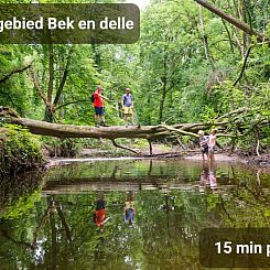 Sfeervol 4-persoons vakantiehuis met houtkachel in de natuur