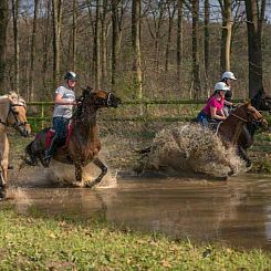 Comfortabel 4 persoons vakantie appartement in de Gelderse