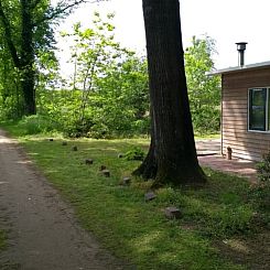 Vakantiehuisje in Aalten