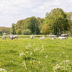 Prachtig gelegen 23 persoons groepsaccommodatie aan de grens