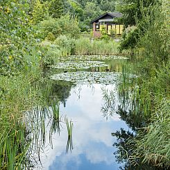 Prachtig gelegen 4 persoons vakantiehuis met sauna nabij