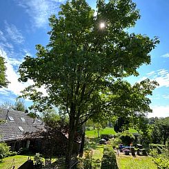 Vakantiehuisje in Laren Gld