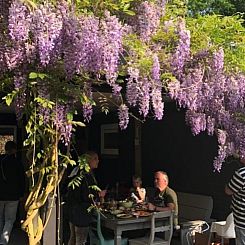 Vakantiehuisje in Lochem