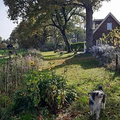 Vakantiehuisje in Hengelo gld