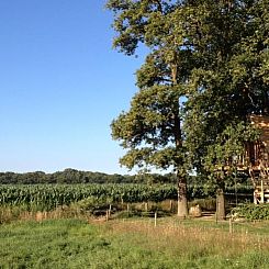 Huisje in Haarlo