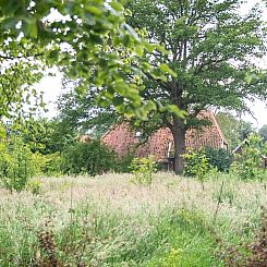 Huisje in Geesteren