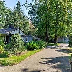 Family Bungalow