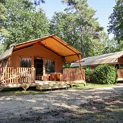 Vakantiehuis Lodgetent 5